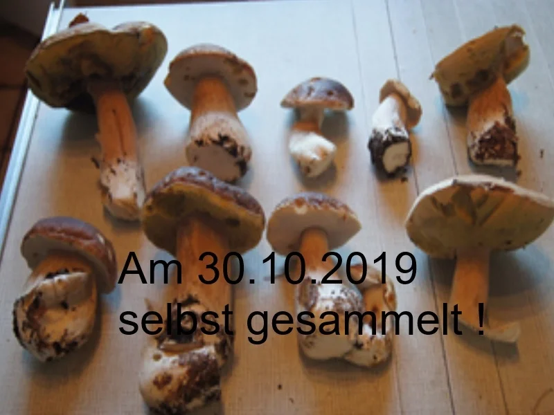 Steinpilzpfanne mit Kartoffelstampf - Rezept - Bild Nr. 3