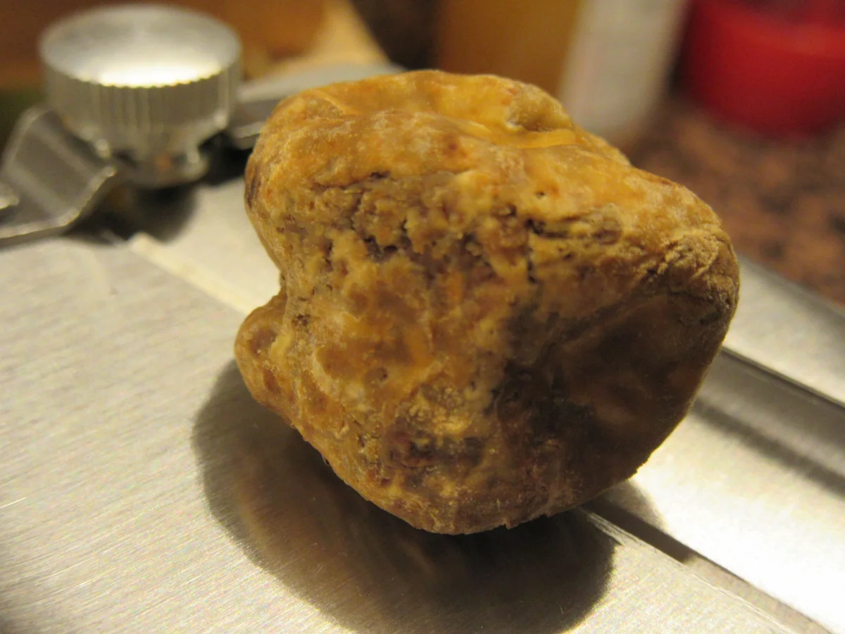 Rezept: Pasta: Spaghetti mit Ei und weißem Trüffel Bild Nr. 5 Pasta: Spaghetti mit Ei und weißem Trüffel - Rezept - Bild Nr. 5