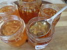 Ingwergelee - Rezept - Bild Nr. 9532