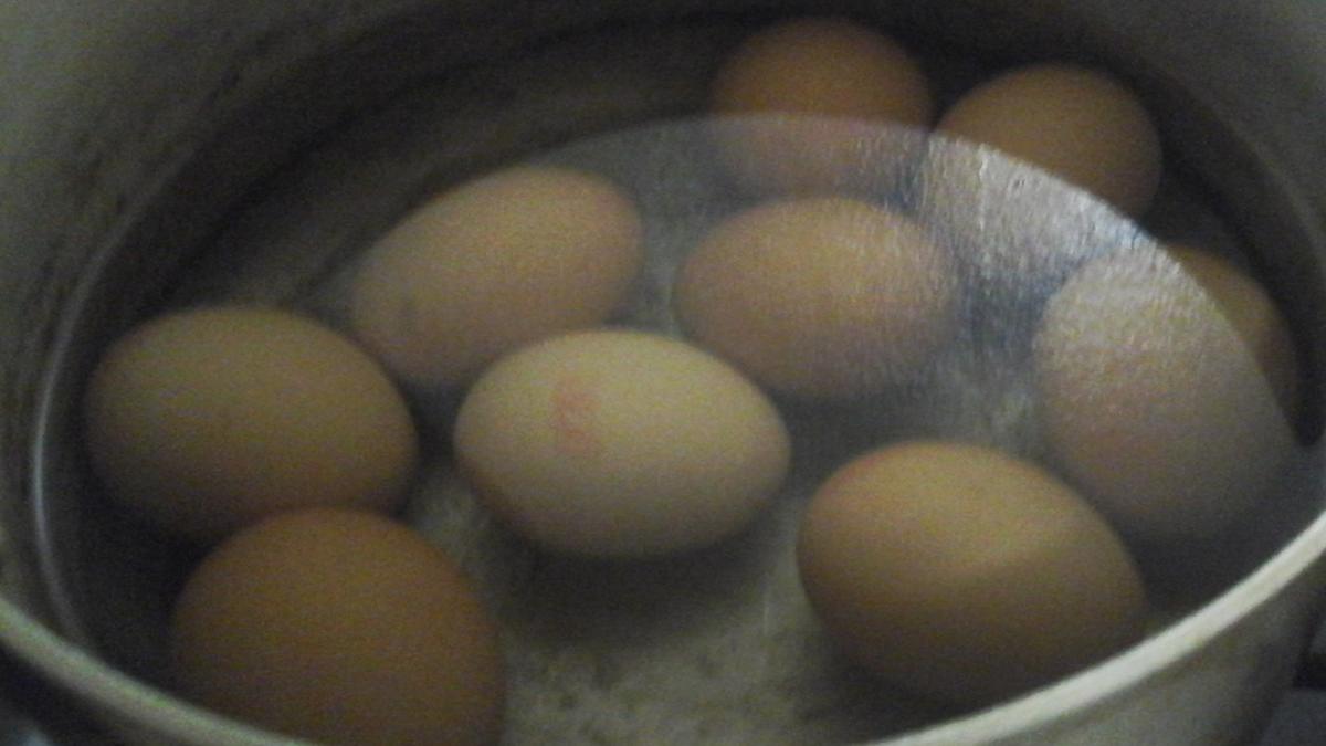 Gekochte Eier in Petersiliensauce mit gebratenen Buttermais und Pellkartoffeldrillingen - Rezept - Bild Nr. 3