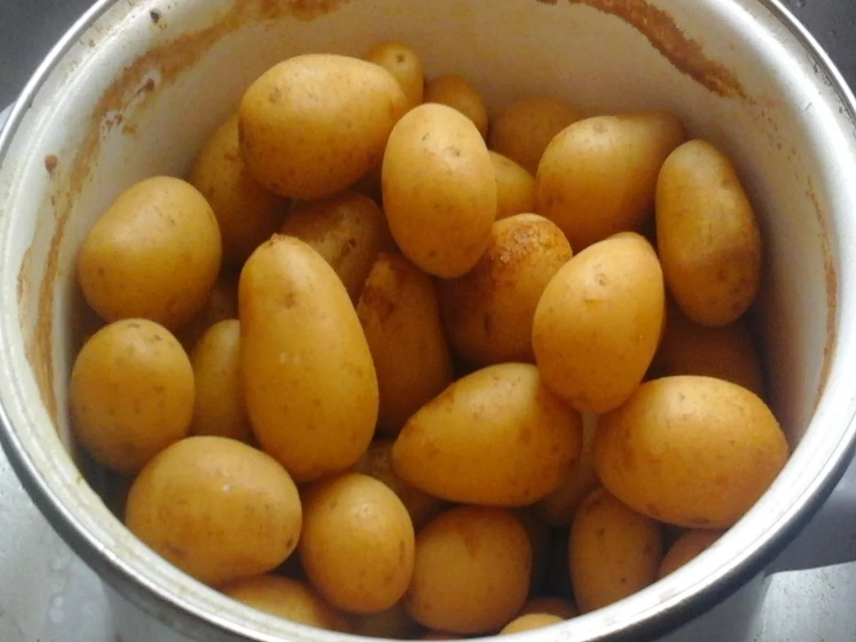 Gekochte Eier in Petersiliensauce mit gebratenen Buttermais und Pellkartoffeldrillingen - Rezept - Bild Nr. 8