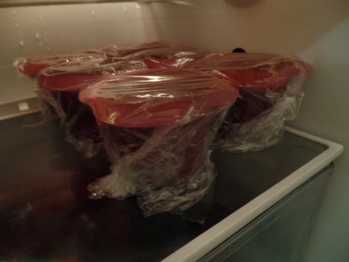 Schokoküchlein mit flüssigem Kern - Rezept - Bild Nr. 9564