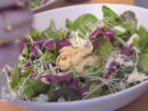 Pfifferling-Steinpilz-Mousse auf Rote-Bete-Carpaccio im Salatbett mit Brombeerdressing - Rezept - Bild Nr. 2