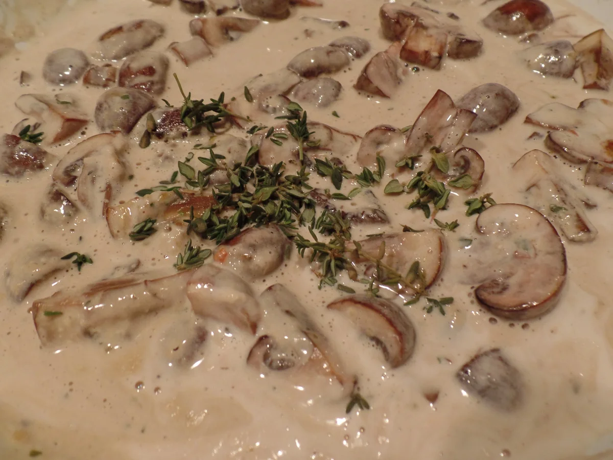 Rezept: Überbackene Pilz-Pasta Bild Nr. 9553 Überbackene Pilz-Pasta - Rezept - Bild Nr. 9553