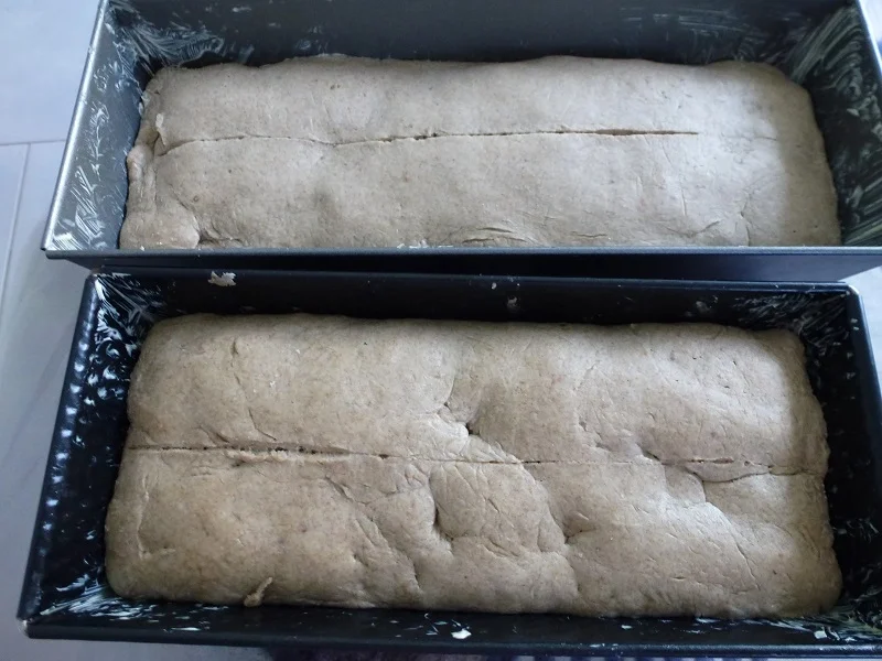 Roggenbrot - Rezept - Bild Nr. 6