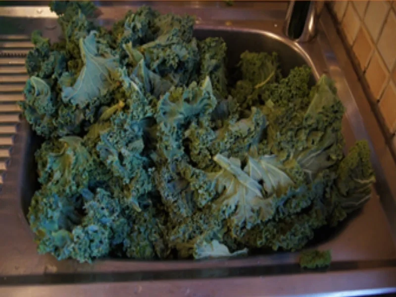 Grünkohl pikant gewürzt mit Brägenwurst, Schweine-braten Prager Art und Kartoffeln - Rezept - Bild Nr. 4