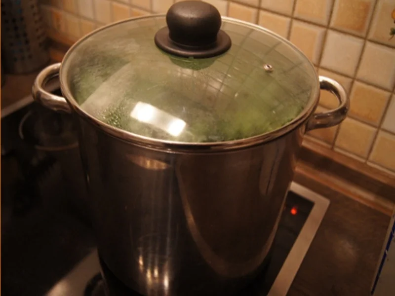 Grünkohl pikant gewürzt mit Brägenwurst, Schweine-braten Prager Art und Kartoffeln - Rezept - Bild Nr. 9