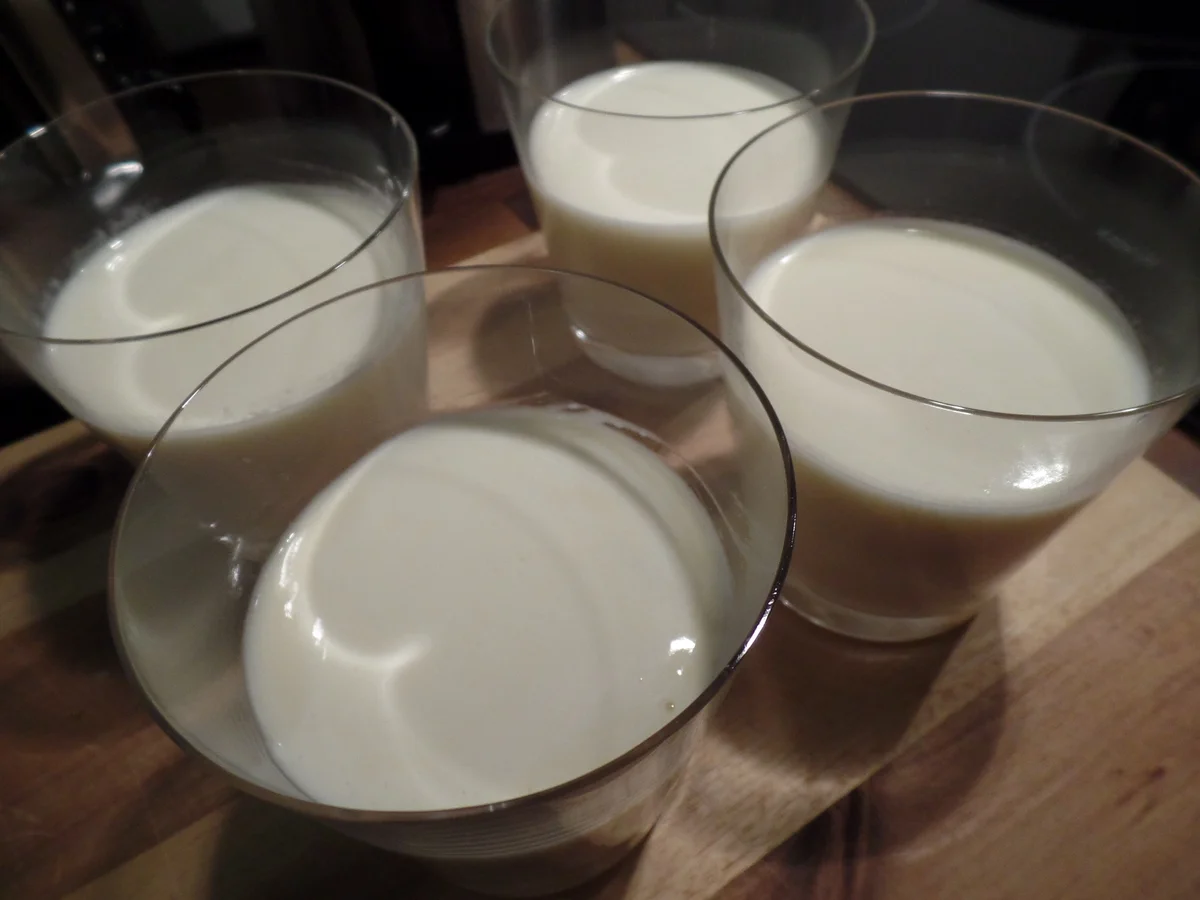 Rezept: Weißer Schokopudding mit Grapefruitkompott Bild Nr. 9565 Weißer Schokopudding mit Grapefruitkompott - Rezept - Bild Nr. 9565