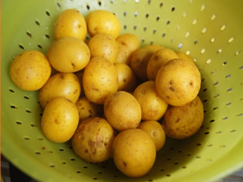 Tomatenrührei mit Rote Bete Salat und Backkartöffelchen - Rezept - Bild Nr. 17