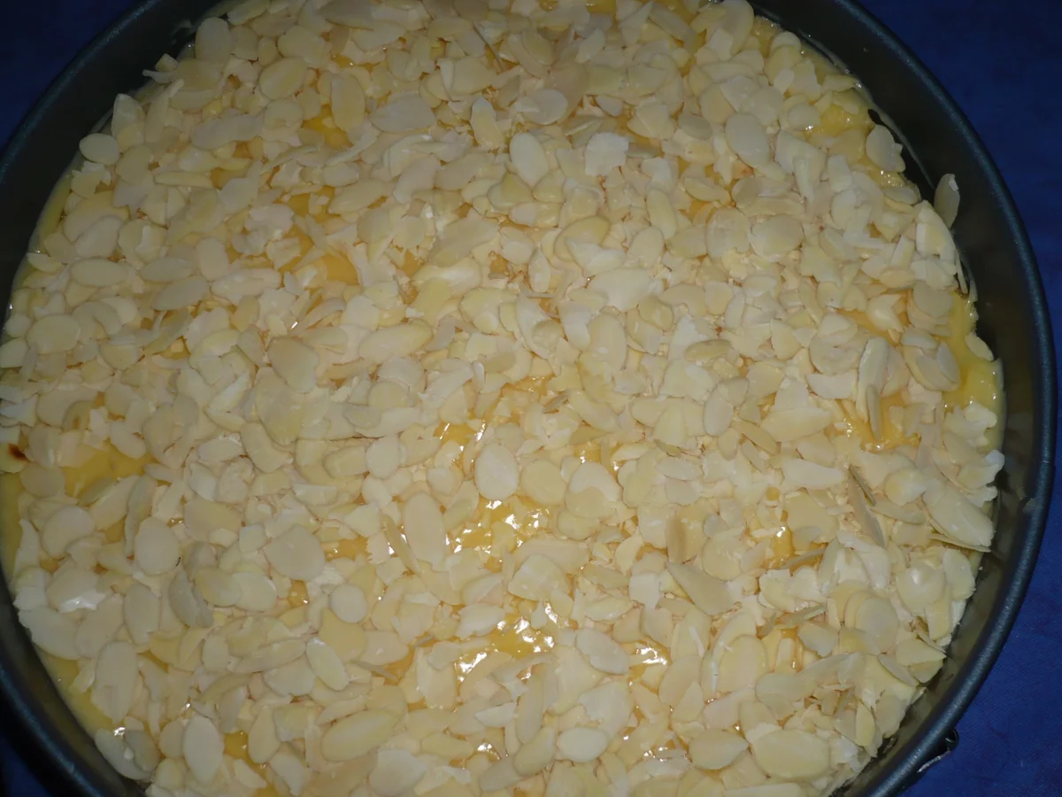 Apfel - Pudding Kuchen - Rezept - Bild Nr. 7