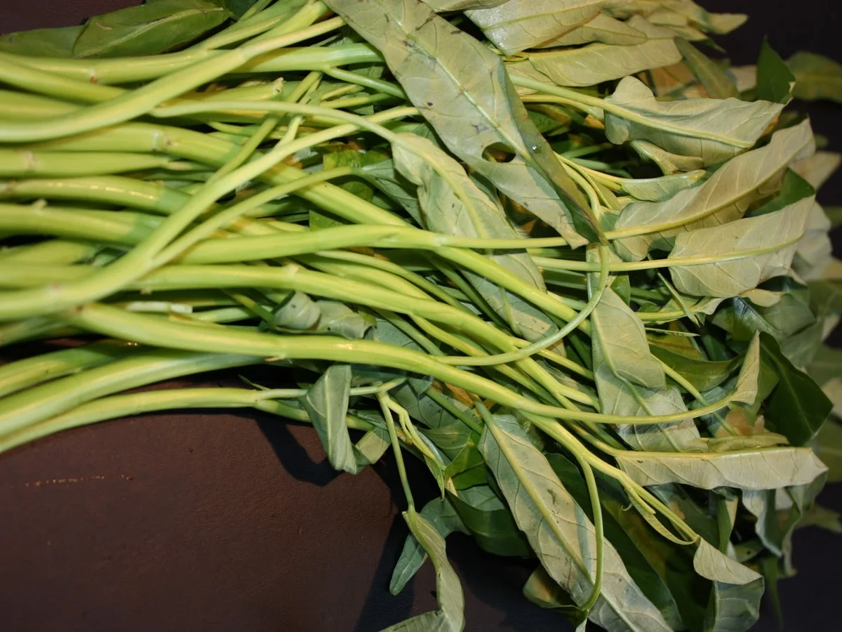 Wasserspinat mit Rindfleisch und Knoblauch - Rezept - Bild Nr. 2