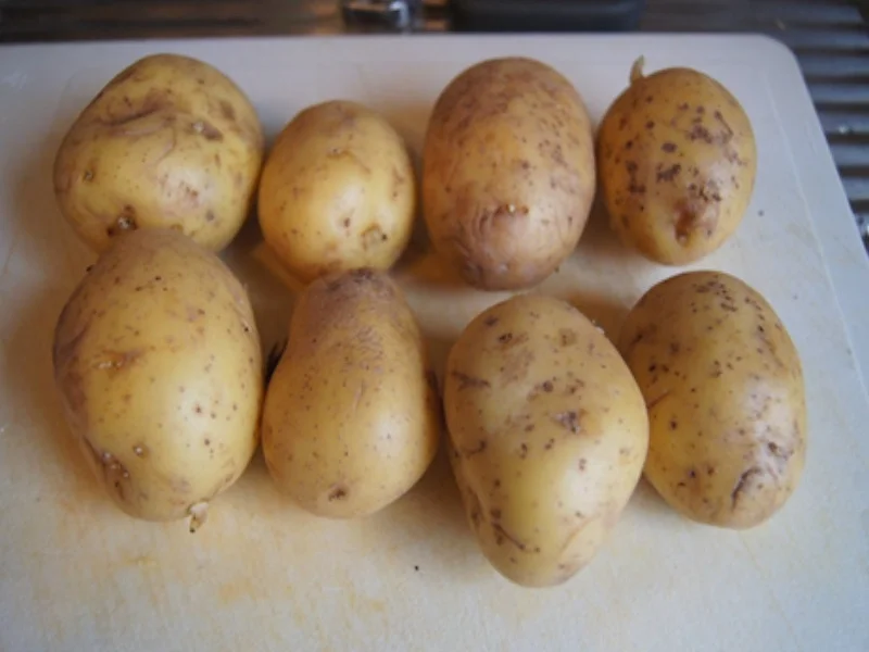 Rezept: Wildlachs-Filet mit Rahmporree und Kartoffelpilzen Bild Nr. 14 Wildlachs-Filet mit Rahmporree und Kartoffelpilzen - Rezept - Bild Nr. 14