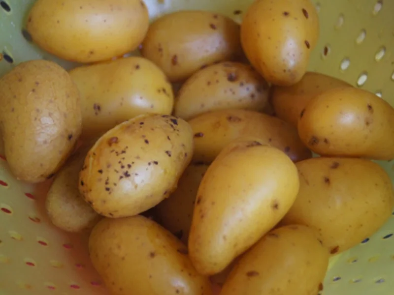 Rezept: Seelachsfilet mit Brokkoli und Drillingen mit Petersilie Bild Nr. 12 Seelachsfilet mit Brokkoli und Drillingen mit Petersilie - Rezept - Bild Nr. 12