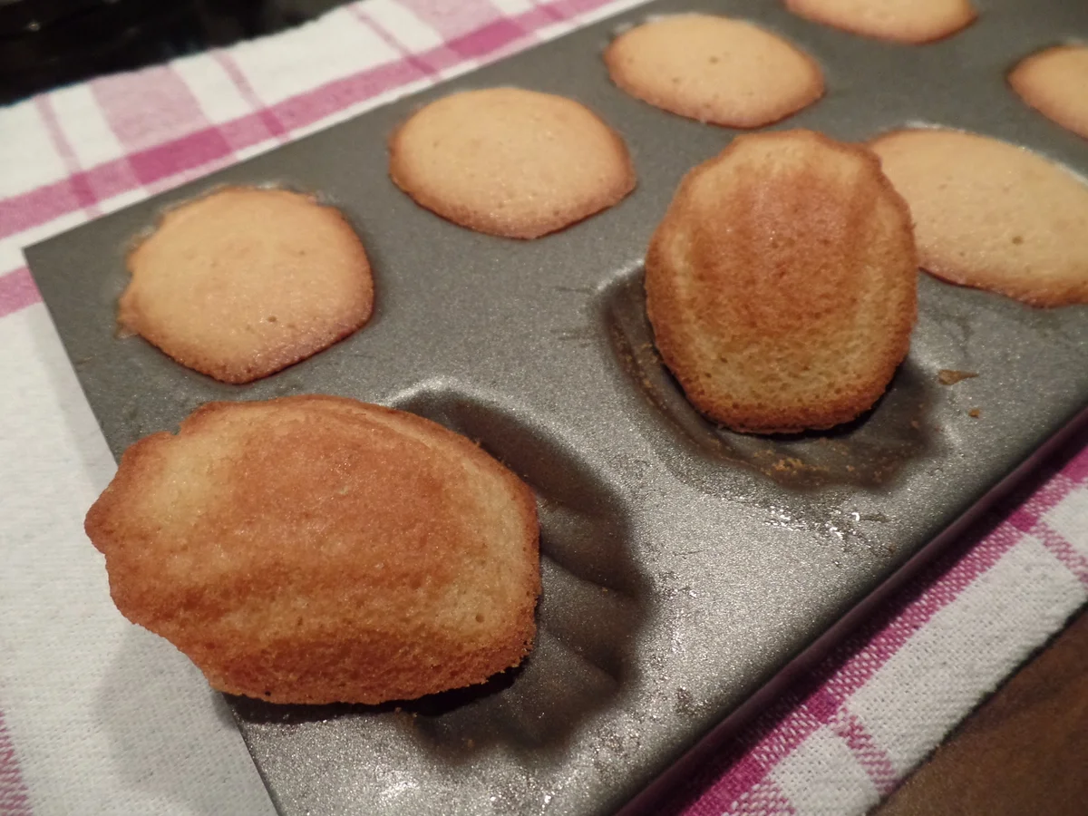 Madeleines mit gebräunter Butter - Rezept - Bild Nr. 9594