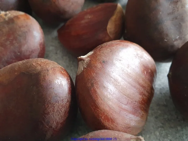 Maroni Suppe (Modifiziertes Rezept- Maronensuppe) - Rezept - Bild Nr. 9594