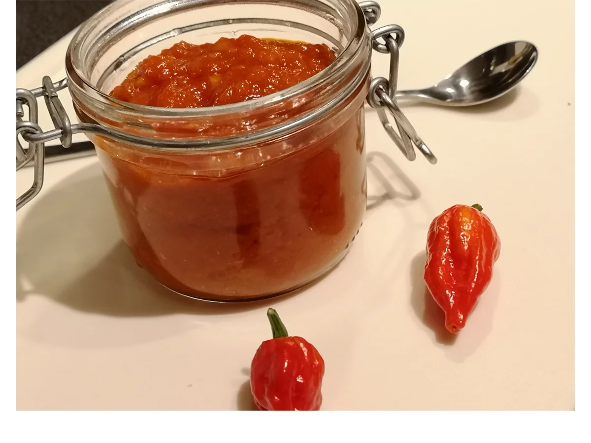 Rezept: BiNe` S CHILIPASTE Bild Nr. 6 BiNe` S CHILIPASTE - Rezept - Bild Nr. 6