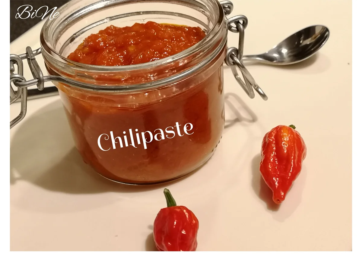 Rezept: BiNe` S CHILIPASTE Bild Nr. 7 BiNe` S CHILIPASTE - Rezept - Bild Nr. 7