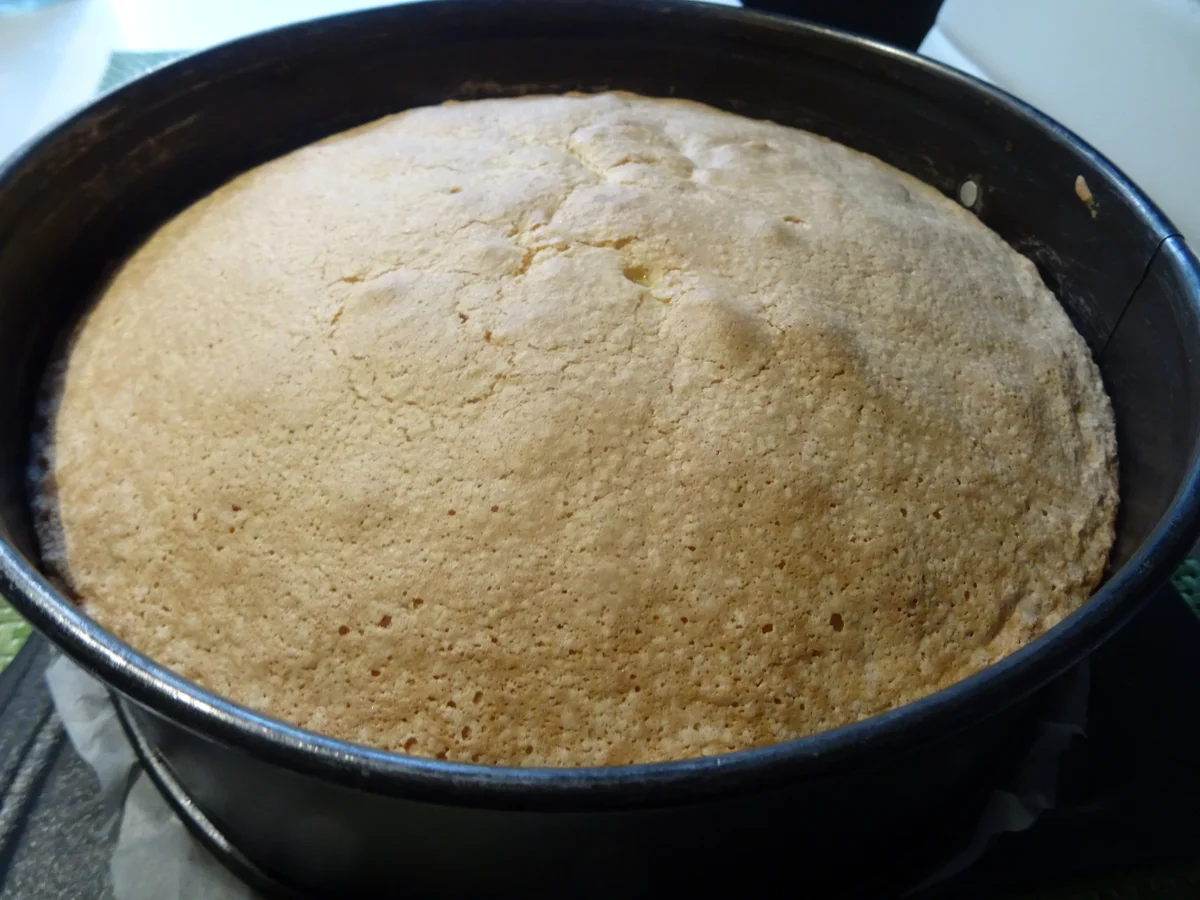 Weihnachtsbäumchen und Schneebälle - Rezept - Bild Nr. 9606