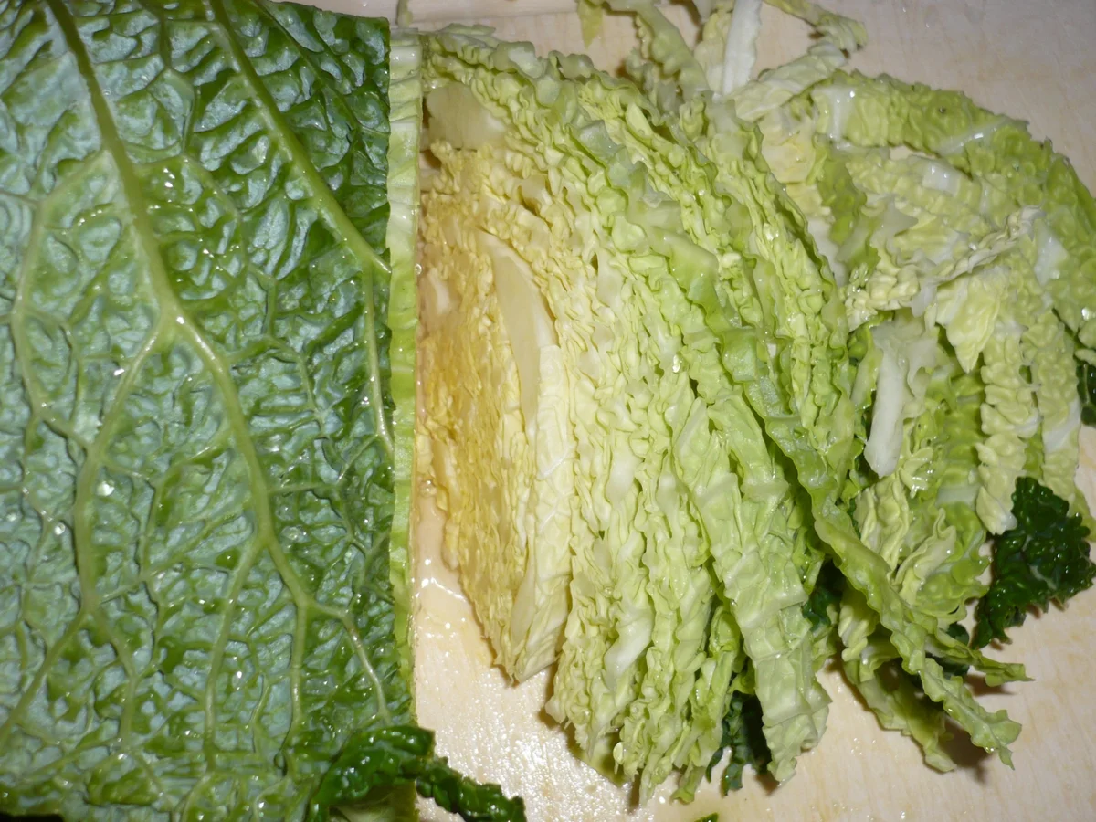 Lachsfilet mit Wirsingnudeln an Meerrettichsauce - Rezept - Bild Nr. 3