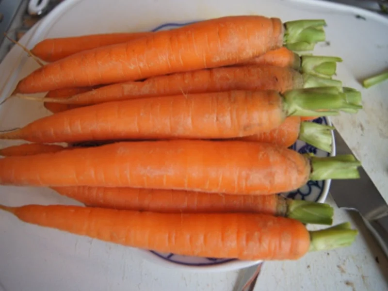 Wiener Schnitzel vom Schwein mit Honig-Bundmöhren und Sahne-Kartoffelstampf - Rezept - Bild Nr. 7