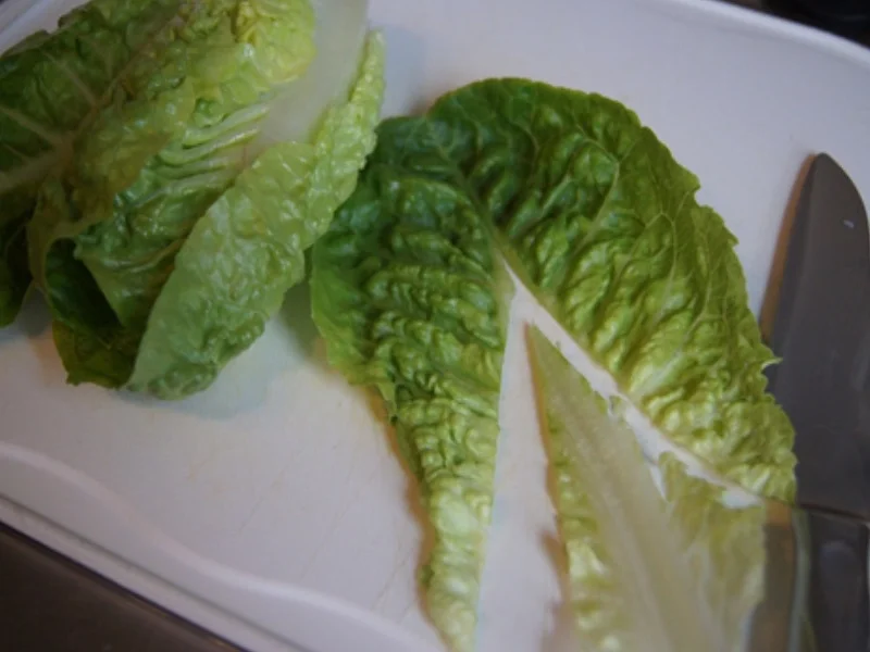 Rezept: Lachsfilet mit Meerrettichsauce, Drillingen und Romana Salat Bild Nr. 12 Lachsfilet mit Meerrettichsauce, Drillingen und Romana Salat - Rezept - Bild Nr. 12