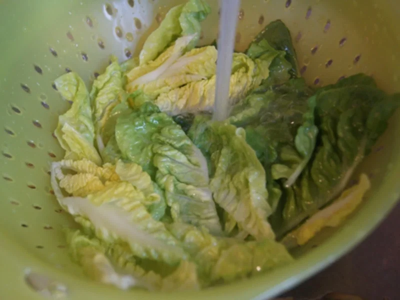 Rezept: Lachsfilet mit Meerrettichsauce, Drillingen und Romana Salat Bild Nr. 13 Lachsfilet mit Meerrettichsauce, Drillingen und Romana Salat - Rezept - Bild Nr. 13