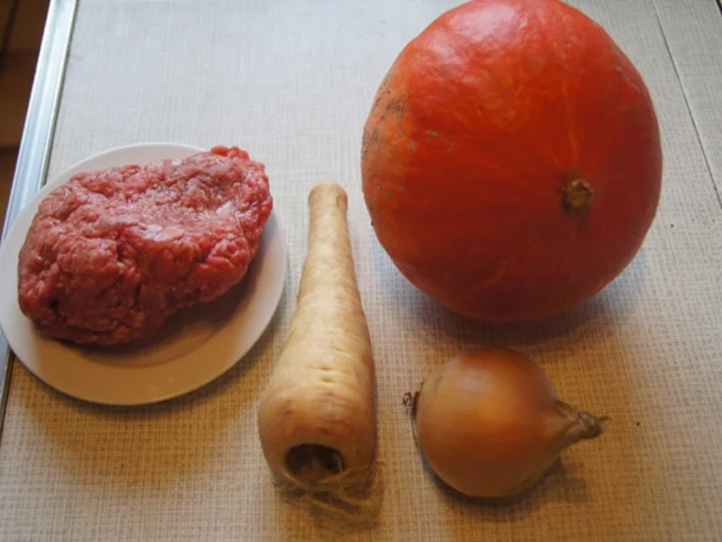 Rezept: Kürbissuppe mit pikanter Rinderhackeinlage Bild Nr. 9654 Kürbissuppe mit pikanter Rinderhackeinlage - Rezept - Bild Nr. 9654