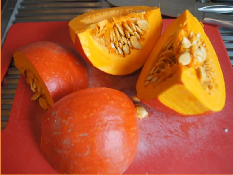 Rezept: Kürbissuppe mit pikanter Rinderhackeinlage Bild Nr. 9655 Kürbissuppe mit pikanter Rinderhackeinlage - Rezept - Bild Nr. 9655