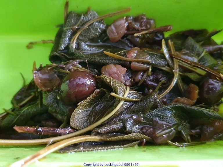 Kalbsbäckchen mit Portwein-Kirschsosse = kochbar Challenge 12.0 (Dezember 2019) - Rezept - Bild Nr. 13