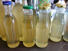 Holunderblütensirup - Rezept - Bild Nr. 2