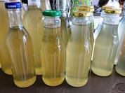 Holunderblütensirup - Rezept - Bild Nr. 2