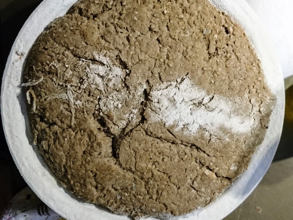 Rezept: Walliser Roggenbrot mit Nüssen Bild Nr. 4 Walliser Roggenbrot mit Nüssen - Rezept - Bild Nr. 4