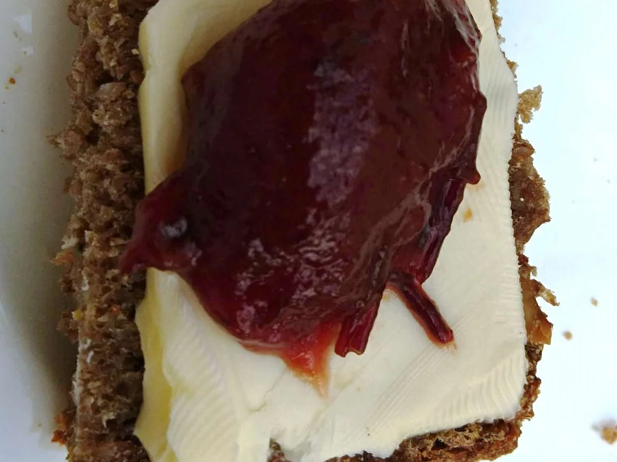 Rezept: Walliser Roggenbrot mit Nüssen Bild Nr. 9 Walliser Roggenbrot mit Nüssen - Rezept - Bild Nr. 9