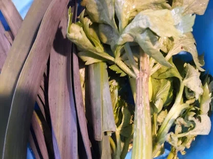 Rote Beete - Gemüsesüppchen - Rezept - Bild Nr. 9675