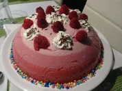 Himbeer-Kuppel mit leichter "Ombre-Optik" - Rezept - Bild Nr. 9675