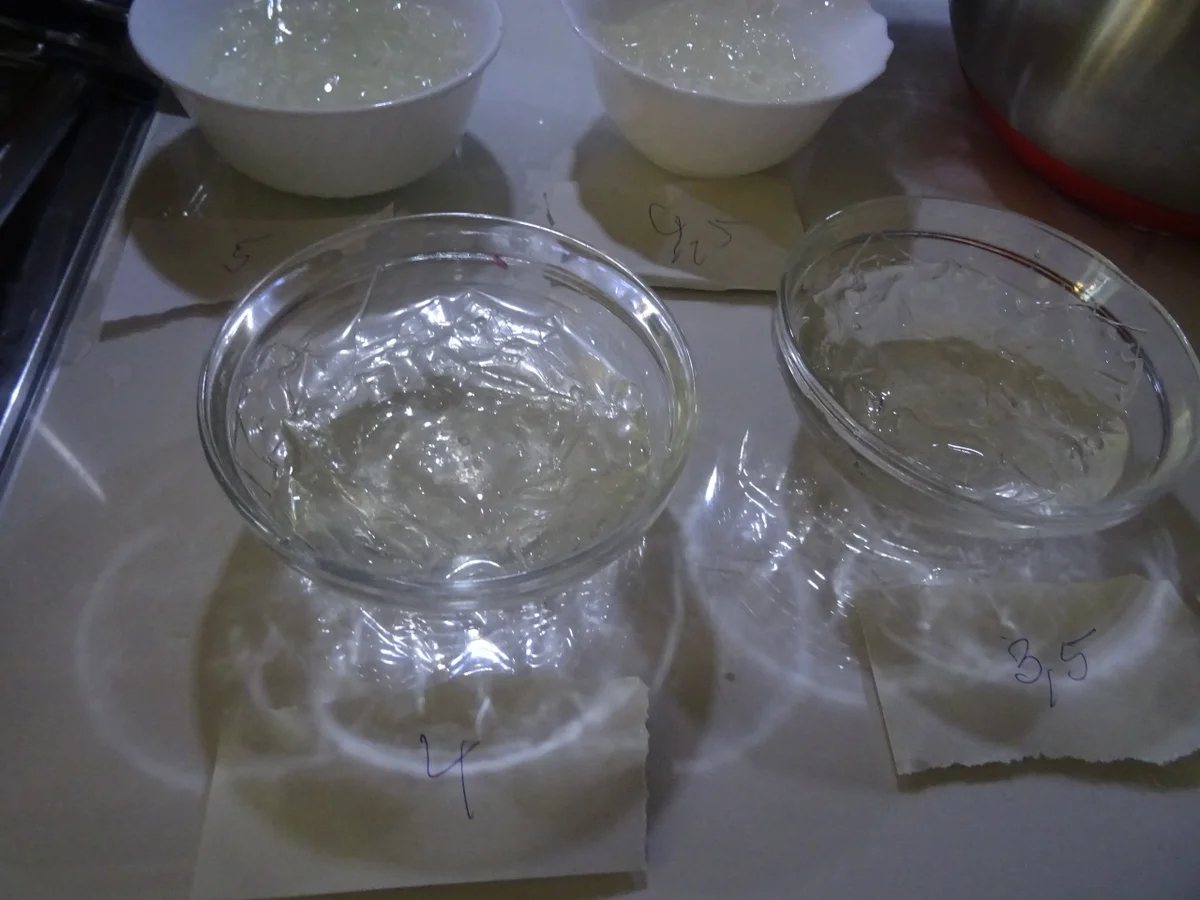 Himbeer-Kuppel mit leichter "Ombre-Optik" - Rezept - Bild Nr. 9677