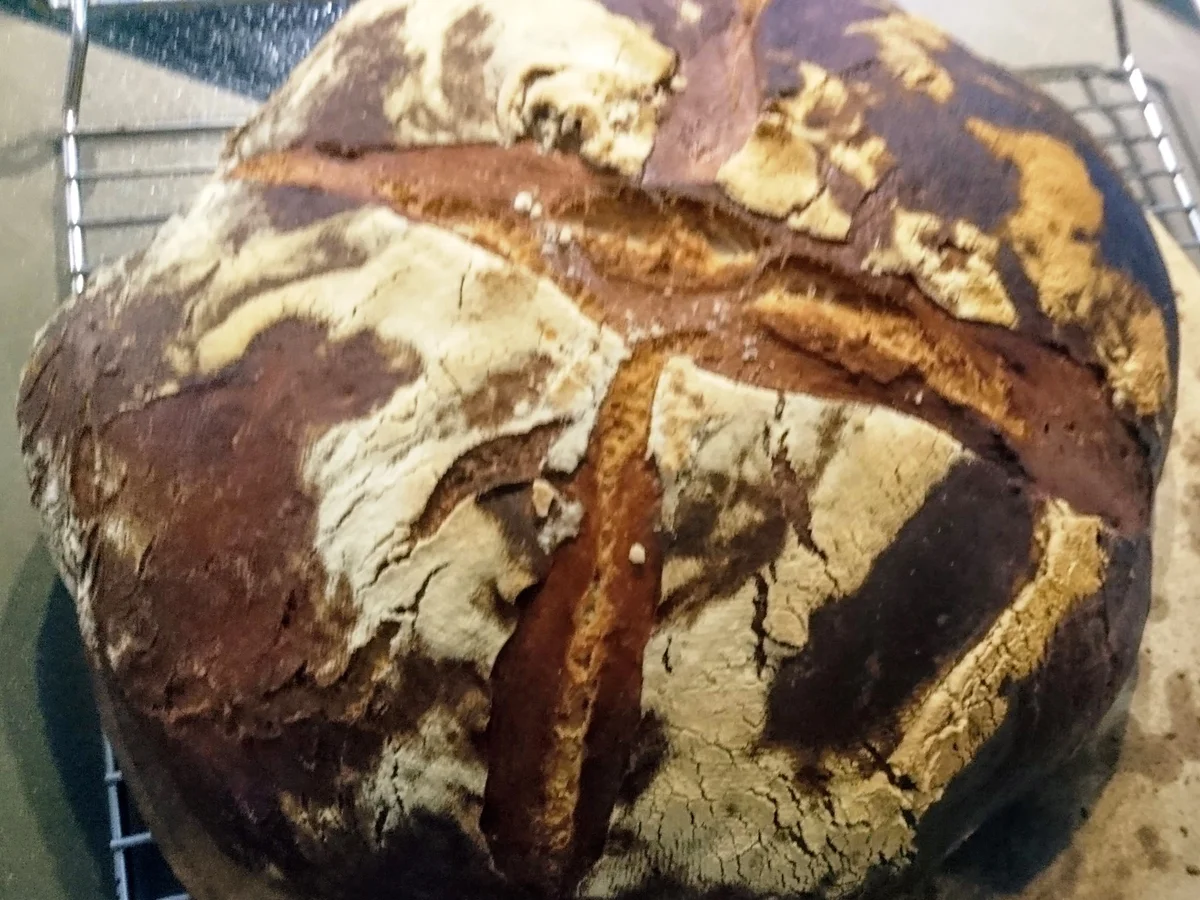 Joghurtkrüstchen - Rezept - Bild Nr. 6