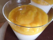 Kokos-Panacotta - Rezept - Bild Nr. 9676