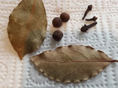 Rotkohlcremesüppchen - Rezept - Bild Nr. 6