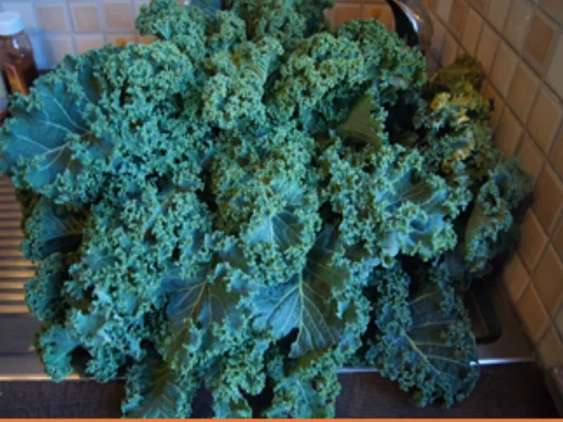 Grünkohl asiatisch gewürzt mit frischer Bregenwurst und Salzkartoffeln - Rezept - Bild Nr. 3