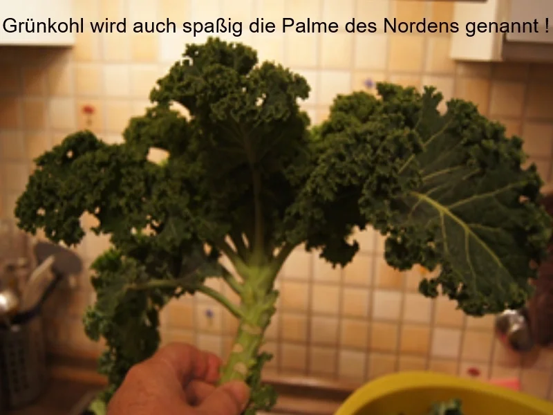 Grünkohl asiatisch gewürzt mit frischer Bregenwurst und Salzkartoffeln - Rezept - Bild Nr. 4