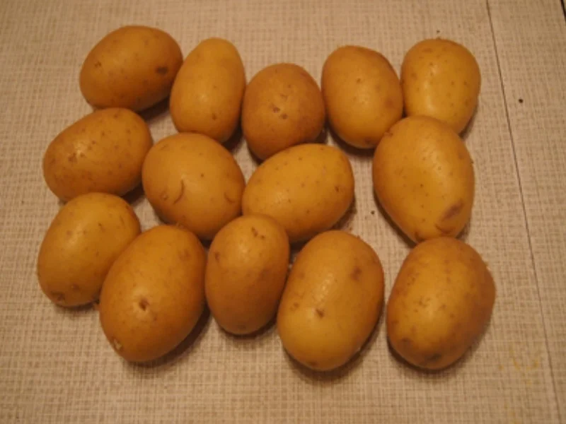 Grünkohl asiatisch gewürzt mit frischer Bregenwurst und Salzkartoffeln - Rezept - Bild Nr. 18