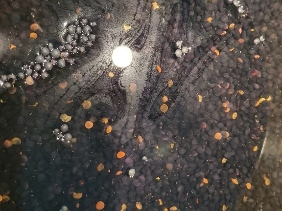 Linsensalat  (Belugalinsen) - Rezept - Bild Nr. 2