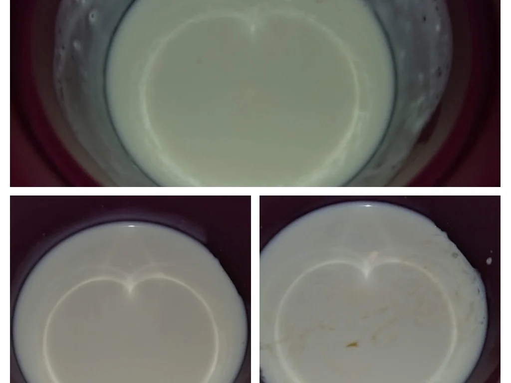 Eingelegte Lauch-Schnitzel - Rezept - Bild Nr. 16