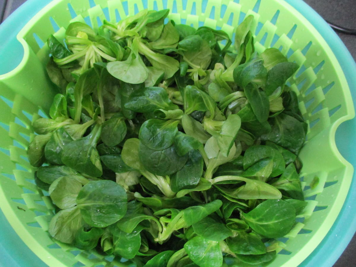 Feldsalat mit Putenstreifen - Rezept - Bild Nr. 3