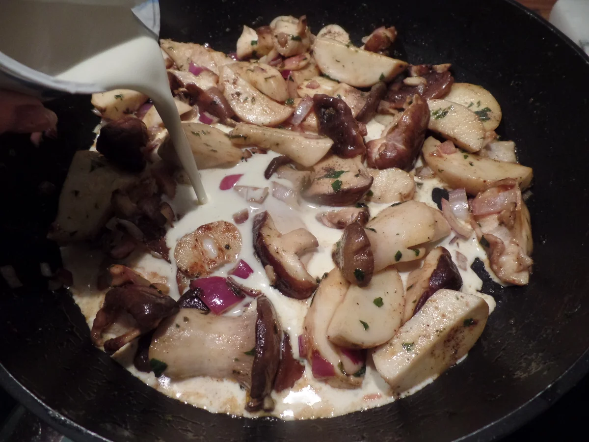 Rezept: Laugenstangenknödel mit Pilzrahmsuce Bild Nr. 9753 Laugenstangenknödel mit Pilzrahmsuce - Rezept - Bild Nr. 9753