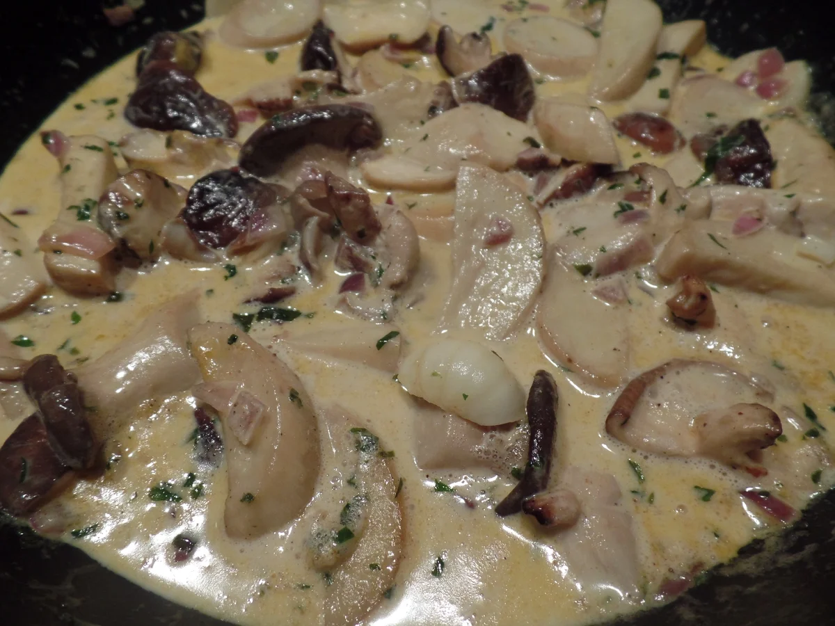 Rezept: Laugenstangenknödel mit Pilzrahmsuce Bild Nr. 9755 Laugenstangenknödel mit Pilzrahmsuce - Rezept - Bild Nr. 9755