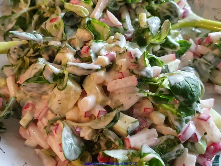 Frischer Salat im Winter zum Sonntagsbraten - Rezept - Bild Nr. 5