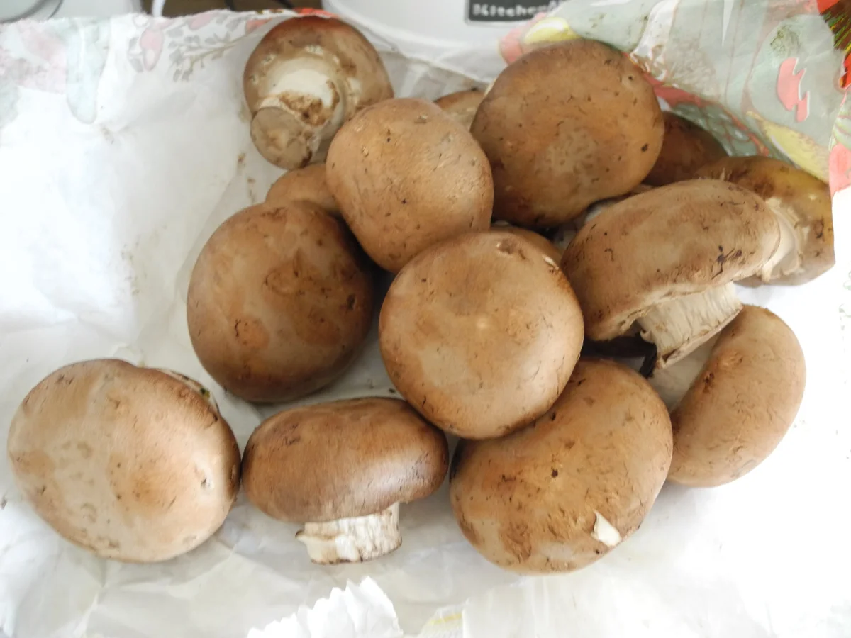 Gemüsepfanne mit viel Knobie - kochbar Challenge 1.0 (Januar 2020) - Rezept - Bild Nr. 9771