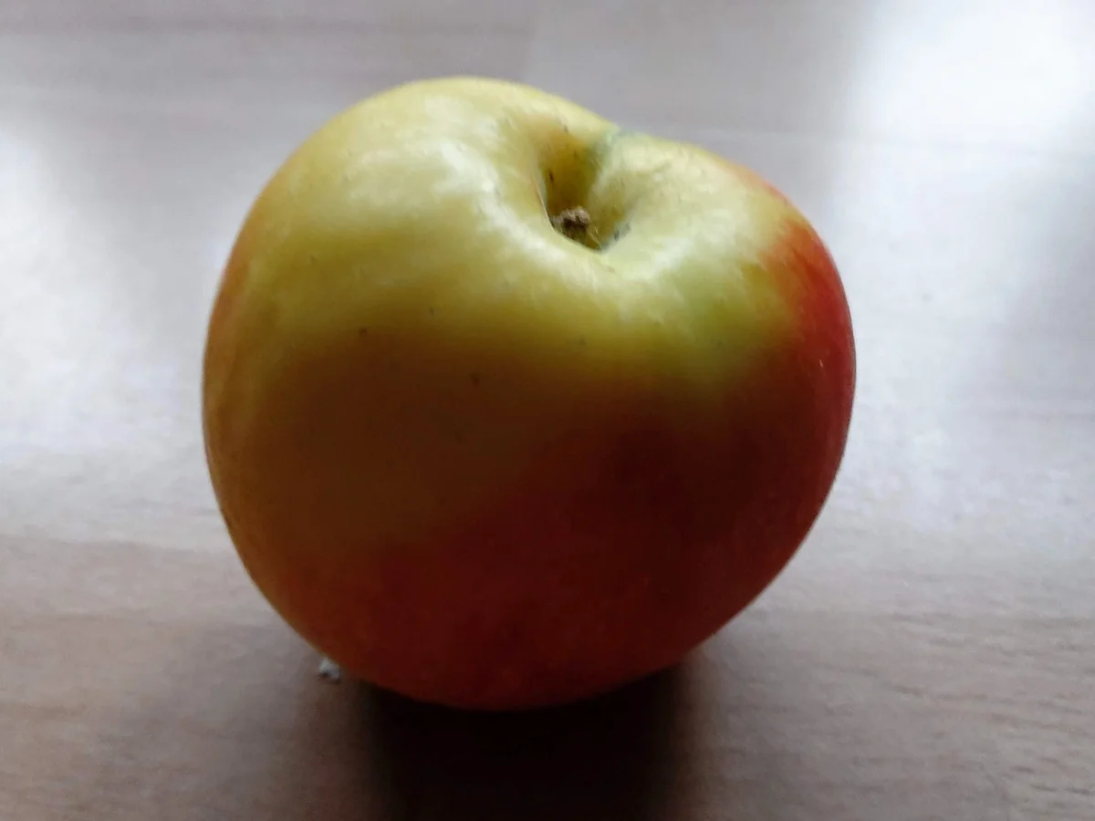 Frenchtoast zum Frühstück (kochbar Challenge 1.0 Januar 2020) - Rezept - Bild Nr. 13